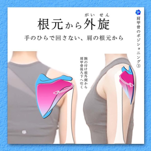 「根元から外旋」のイメージを図解でわかりやすく