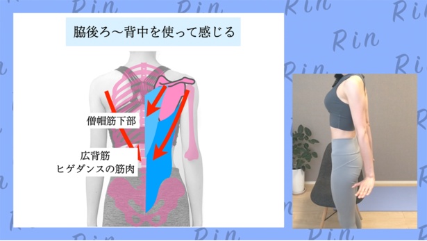 ヒゲダンスの筋肉(＝広背筋)を上手く使う