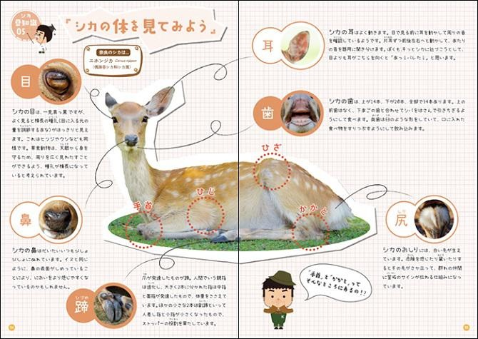 奈良のシカをめぐるトラブルの減少にも一役。ガイドブックとは一味違う、シカに対する正しい知識が身につく1冊が発売