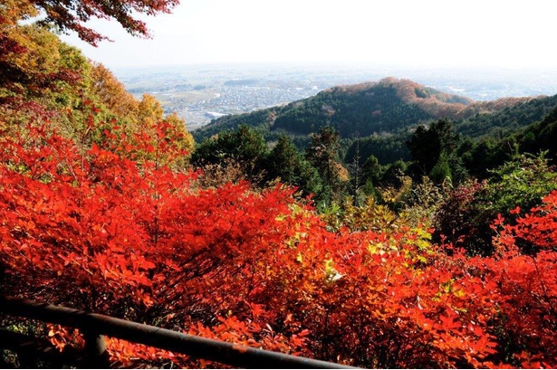 太平山紅葉の眺め 画像提供：栃木市観光協会