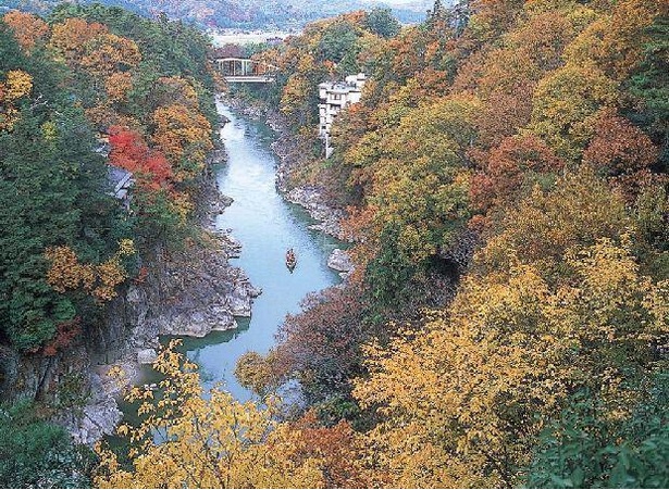 紅葉が彩る絶景を望む 画像提供：天龍峡温泉観光協会