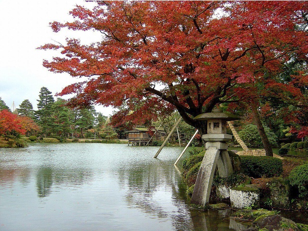 徽軫灯籠付近は水面に紅葉の色が水面に映り、趣きある風景になる 画像提供：石川県金沢城・兼六園管理事務所