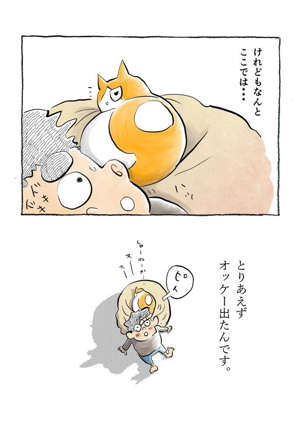 kotatsu095_08