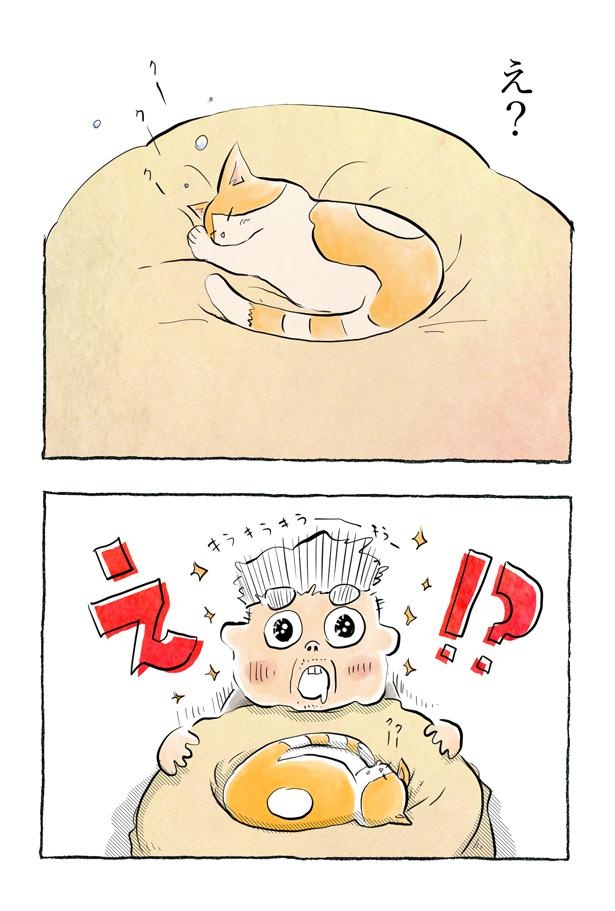 kotatsu095_11
