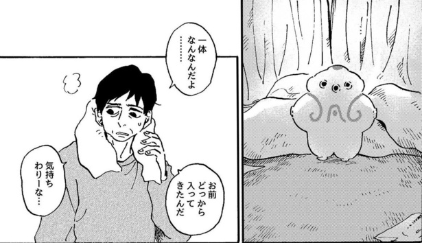 謎の生き物がいる!?