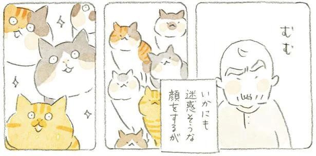 猫を見てはムスッと迷惑顔。そんなじいさんの毎朝の日課 | OneNews