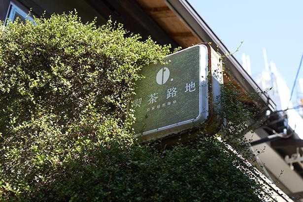 開業時から育てているワイヤープラントは、いまや建物を覆うほどに