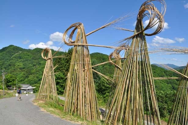 ニコライ・ポリスキー「Bamboo Waves」