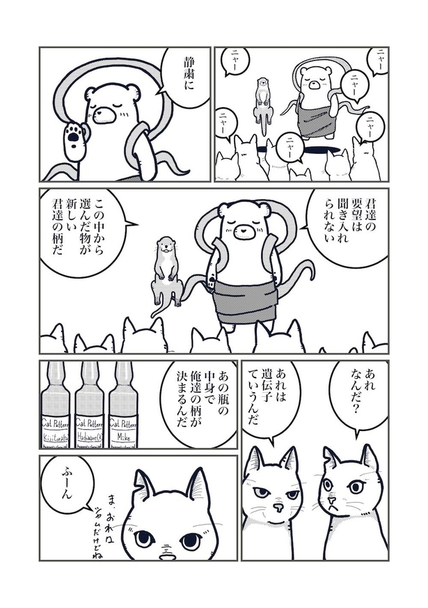 猫の柄の話(3)