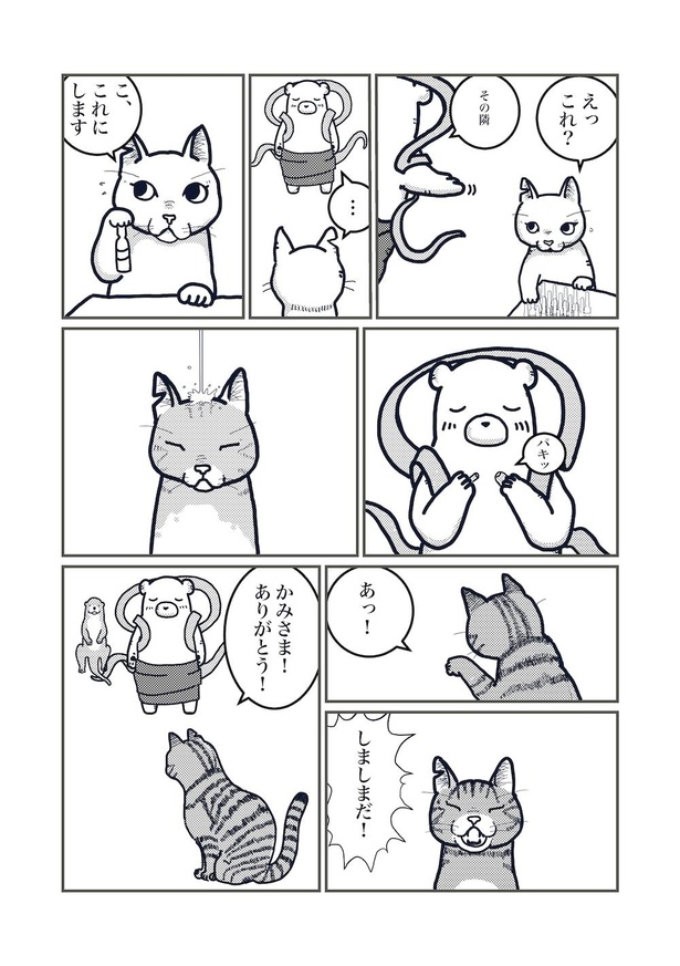 猫の柄の話(8)