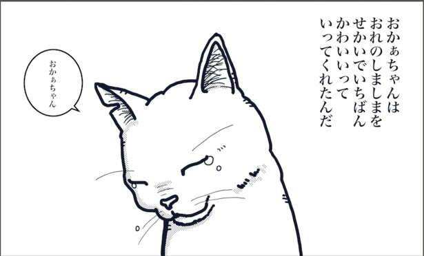 死んだ猫は天国で転生？「お母さんが好きだと言ってくれたしましまが