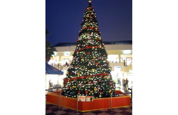 三重県下最大級のクリスマスツリーがお目見え！