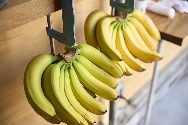 壁につるされた“フリーバナナ”は、河合さん流のモーニングサービス
