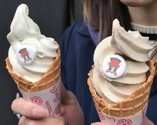 ここでしか味わえない！飛騨高山の酒蔵こだわりの日本酒ソフトクリーム