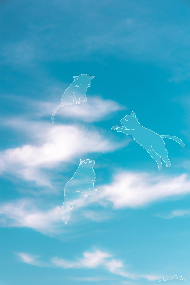 「青空キャットタワー」