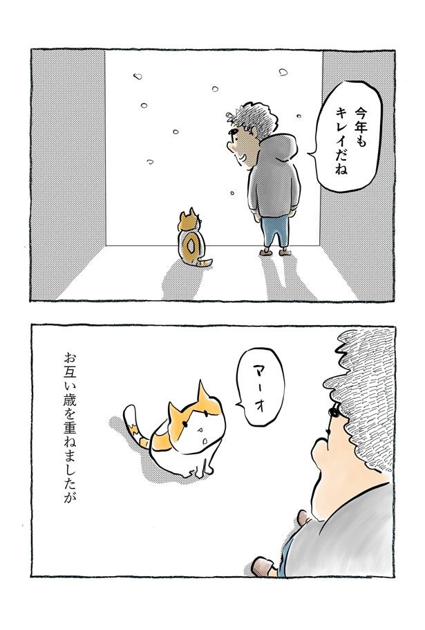kotatsu096_06