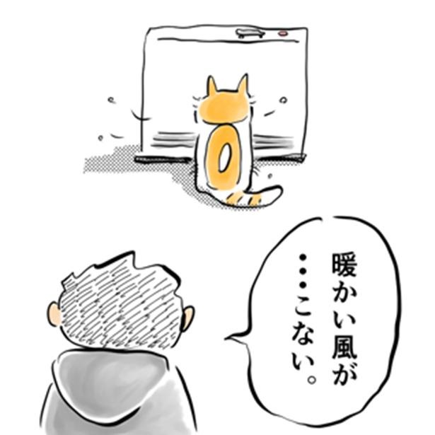 何気ない毎日に幸せを運ぶ猫ちゃん