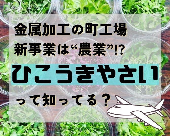 金属加工の町工場から生まれた「ひこうきやさい」。“工業×農業”の新たなビジネスモデルで社会課題解決に一手