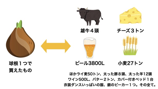 図1　1つの球根に支払われた2500ギルダーで買えるもの
