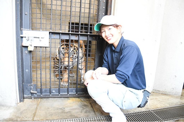 バユと一緒に写真に納まる山崎さん。肉食のスマトラトラと飼育員は絶対に同じ空間には入らない