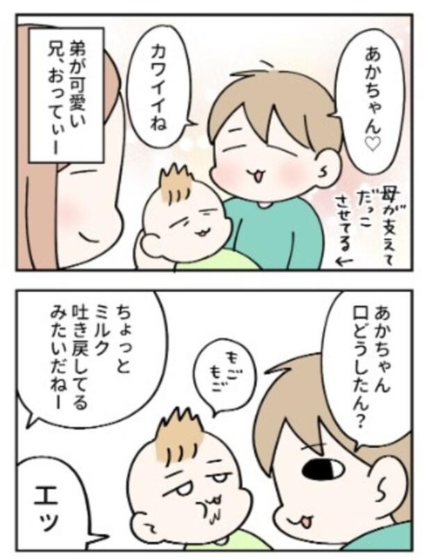 弟のことは大好きだけど 1-1