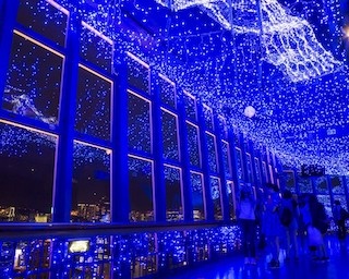 夏の浴衣スポット！東京湾納涼船×東京タワー天の川イルミネーション