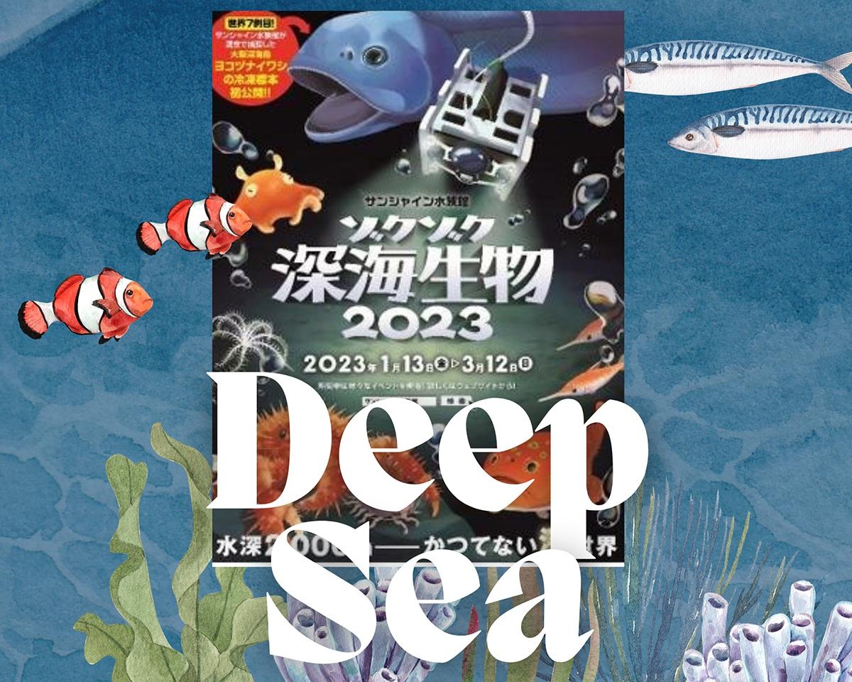 水中ドローンがとらえた深海の世界！サンシャイン水族館で「ゾクゾク深海生物2023」が開催