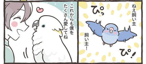 「飼い主への手紙」14/15