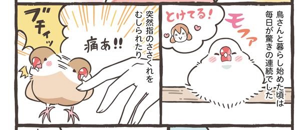「鳥さんとのエピソード」2/21