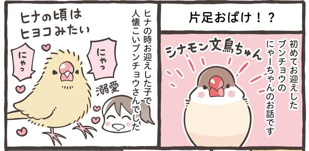 「鳥さんとのエピソード」4/21