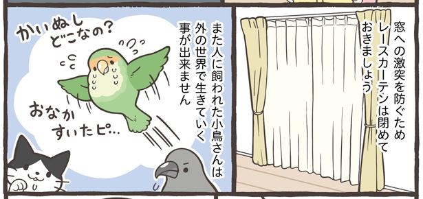 「暮らしにひそむ危険な事」5/18 