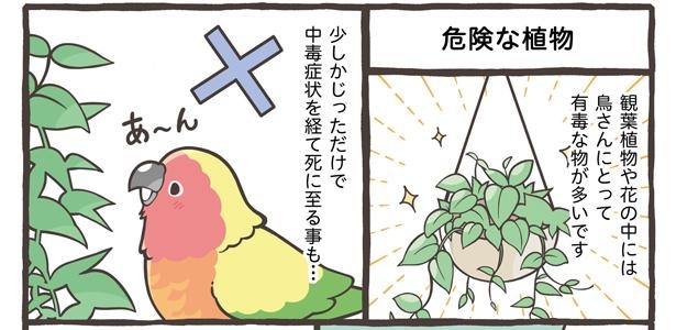 「暮らしにひそむ危険な事」7/18