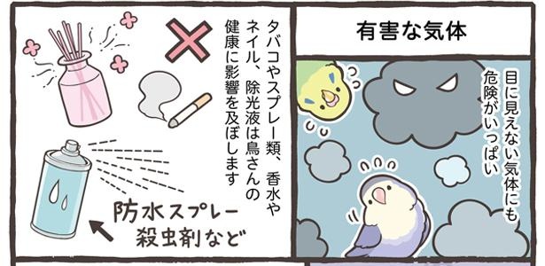 「暮らしにひそむ危険な事」13/18 