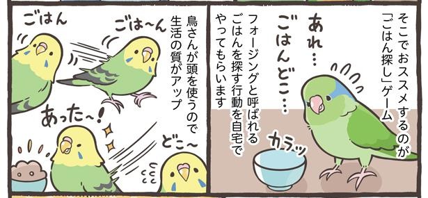「コミュニケーションの大切さと遊び方」11/21