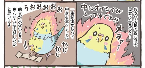 「コミュニケーションの大切さと遊び方」14/21