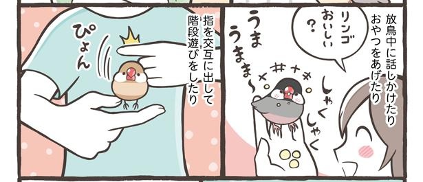 「コミュニケーションの大切さと遊び方」17/21