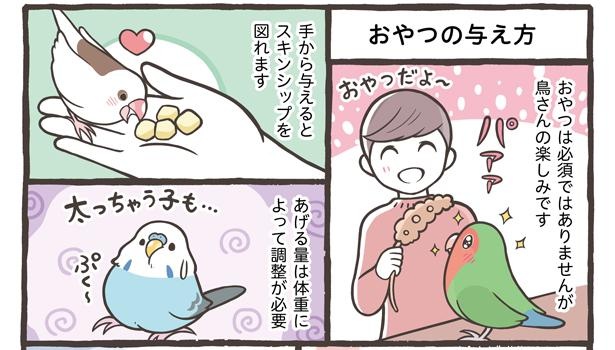 「ごはんの与え方について」13/18