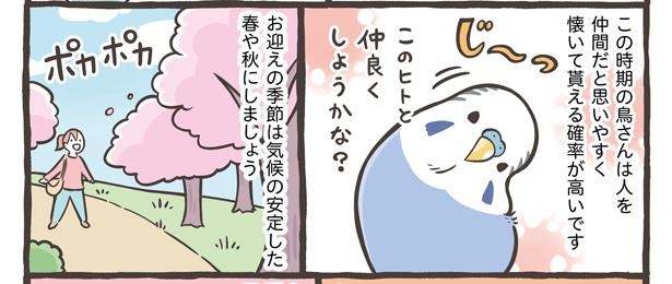 「鳥さんをお迎えするタイミング」8/15