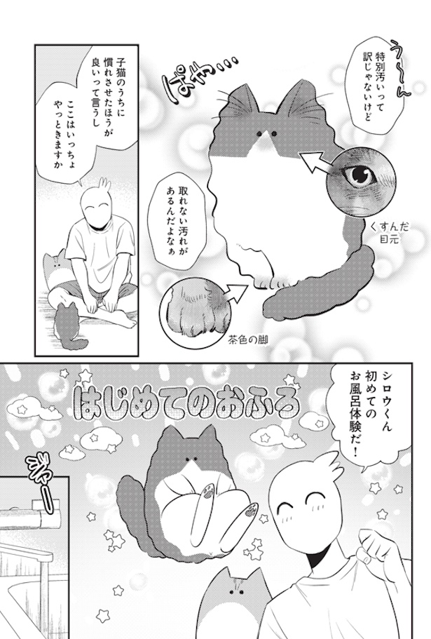 シロウくん初めてのお風呂 (1)