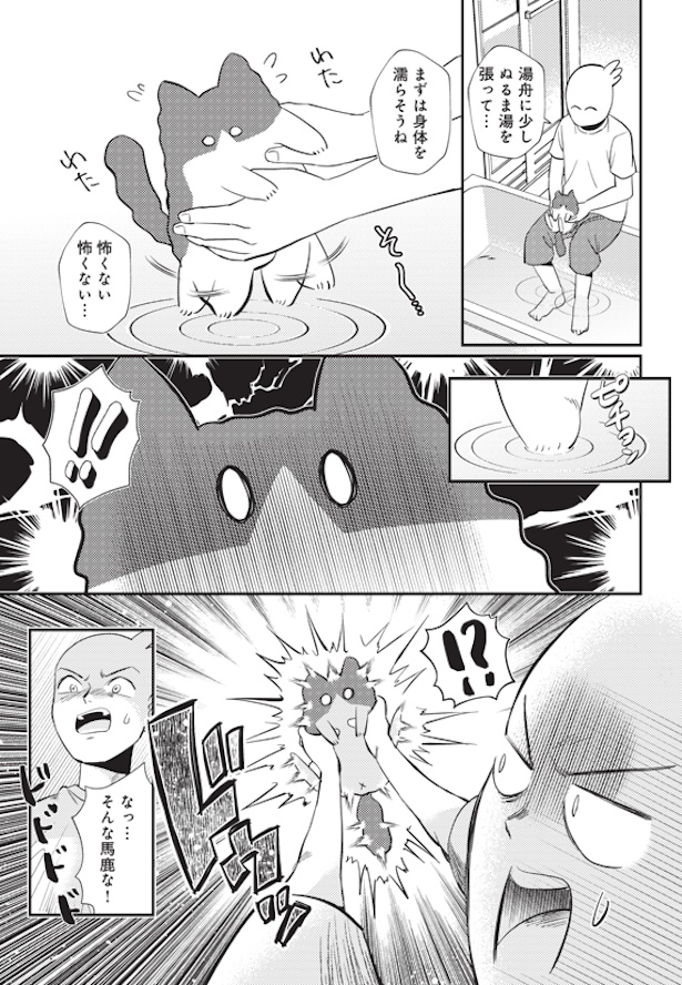 シロウくん初めてのお風呂 (3)
