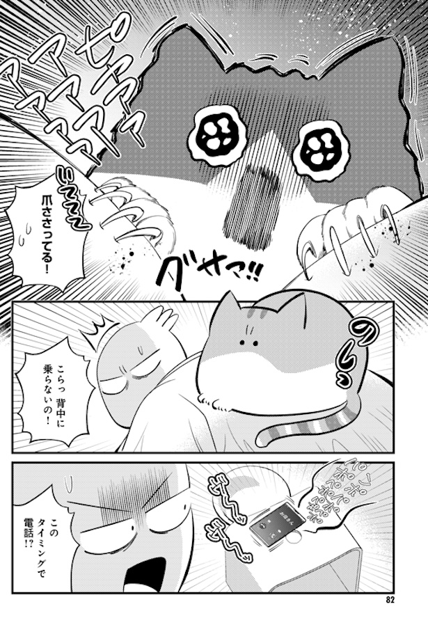 シロウくん初めてのお風呂 (6)