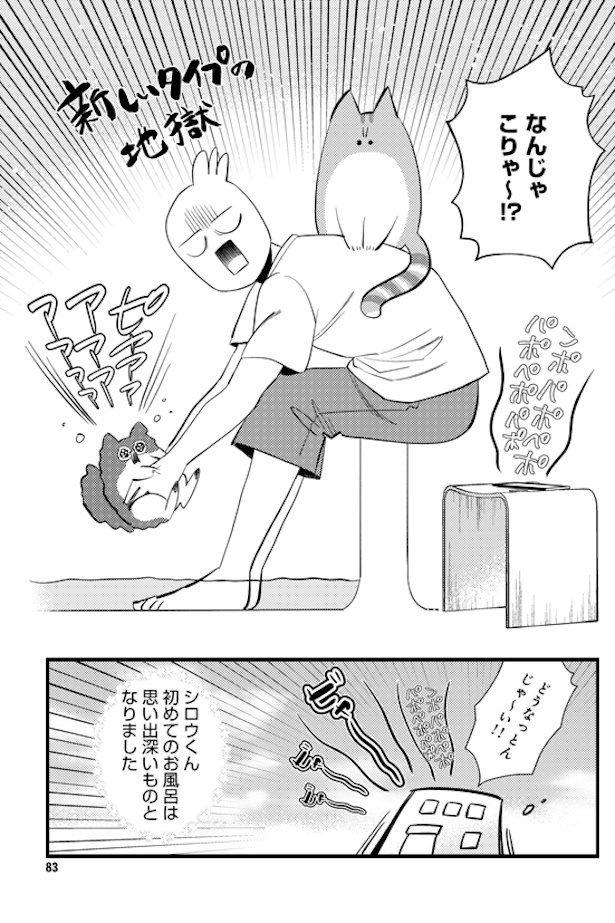 シロウくん初めてのお風呂 (7)