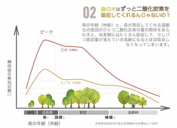 若い成長期の木のほうが、炭素をたくさん吸収して、酸素を吐き出してくれる