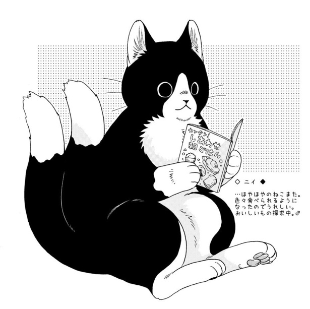 大きな猫又のニイ