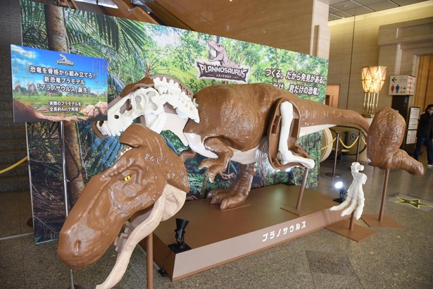 「プラノサウルス」の大型模型も展示
