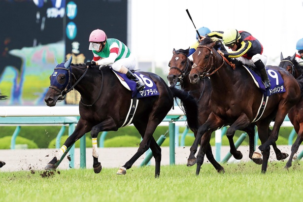 昨年の宝塚記念は、人気の牡馬を抑え、牝馬のマリアライトが勝利に輝いた