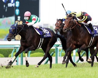 上半期を締めくくる宝塚記念(G1)、阪神競馬場で開催