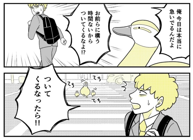 動物にモテるサラリーマンの受難(45)