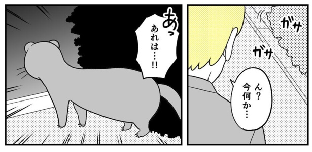 動物にモテるサラリーマンの受難(230)