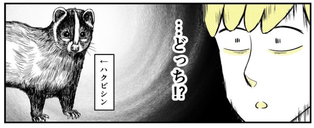 動物にモテるサラリーマンの受難(232)